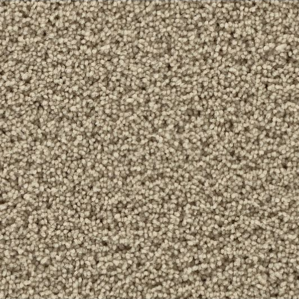 Mohawk Carpet Gentle Path Twine Mohawk