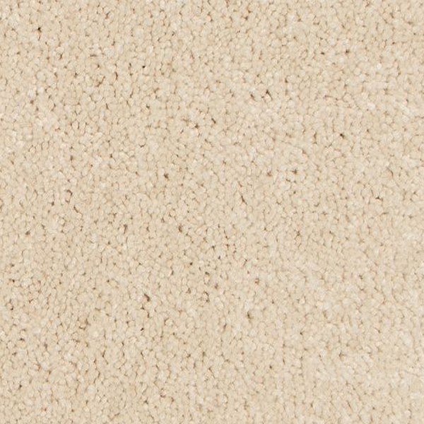 Mohawk Carpet Tender Moment II Harmony Mohawk