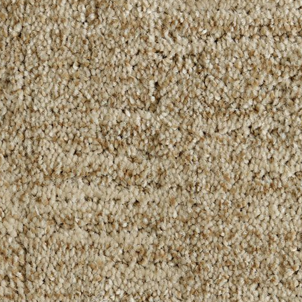 Mohawk Carpet Random Nature Organic Mohawk