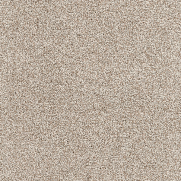 Dixie Home Great Dane Spaniel