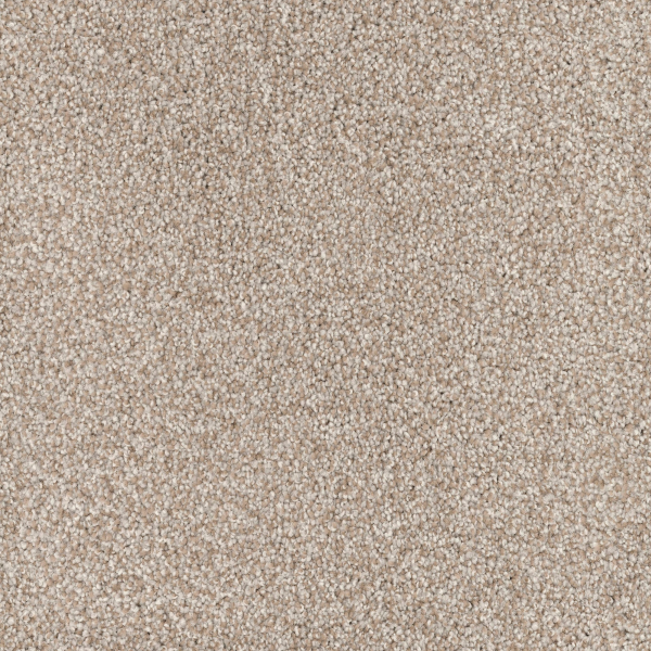 Dixie Home Husky Spaniel