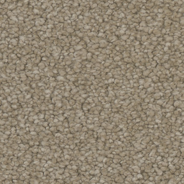 Tarkett Home Carpets Enamour Appeal LEXMARK