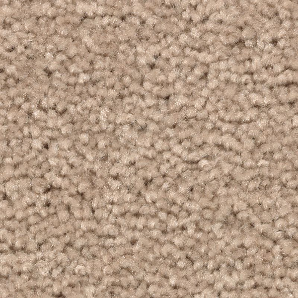 Mohawk Carpet Treasure Valley Autumn Ash Mohawk