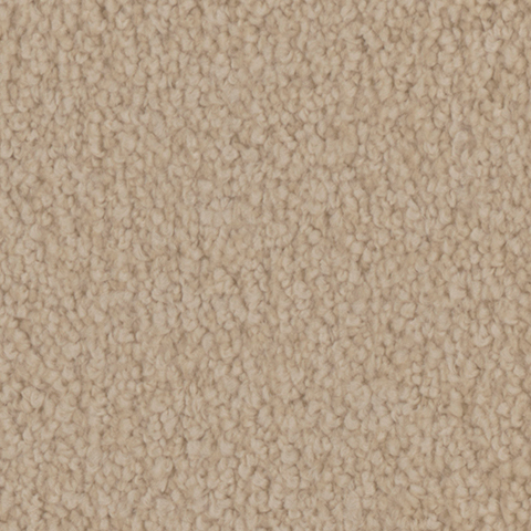 Tarkett Home Carpets Providence Bungalow LEXMARK