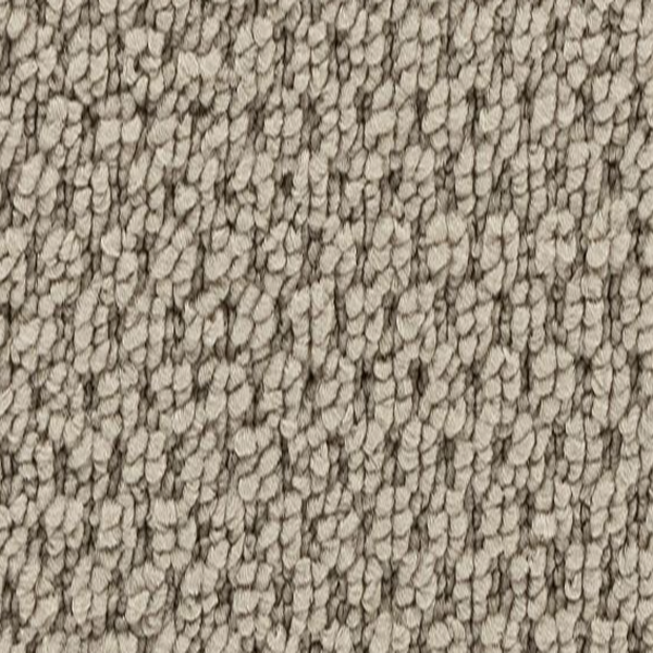 Horizon Carpet Remarkable Quality 12' Autumn Ash Mohawk