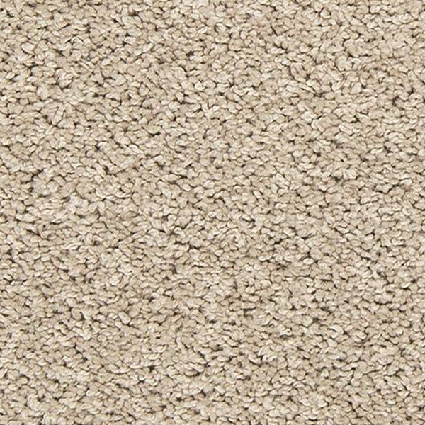 Mohawk Carpet Tectonic Stony Glade Mohawk