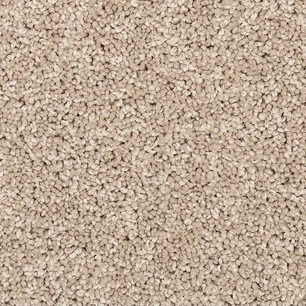Mohawk Carpet Vitalize I Stony Glade Mohawk