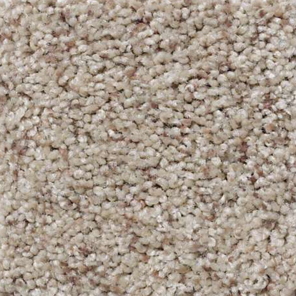 Shaw Floors That's Right Classic SHAW