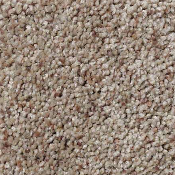 Shaw Floors What's Up Stunning SHAW