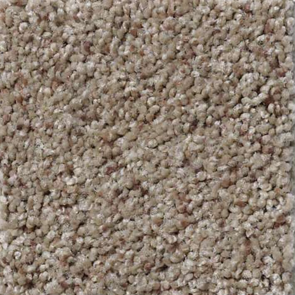 Shaw Floors That's Right Stunning SHAW