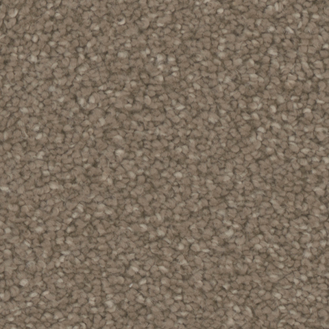 Tarkett Home Carpets Manchester Village LEXMARK