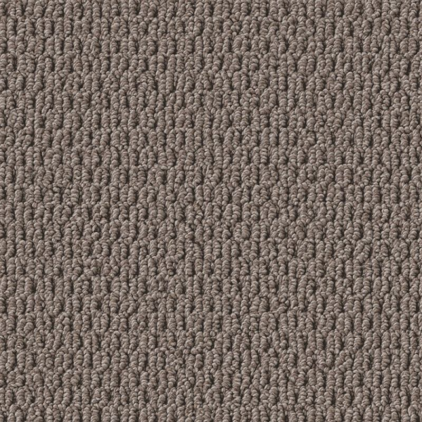 Shaw Floors Perspective Path Cappuccino SHAW