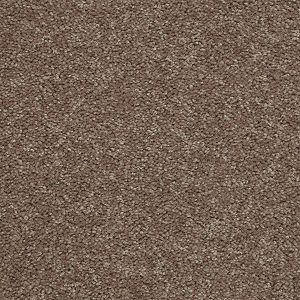 Shaw Floors Mission Statement II 12' Moccasin SHAW