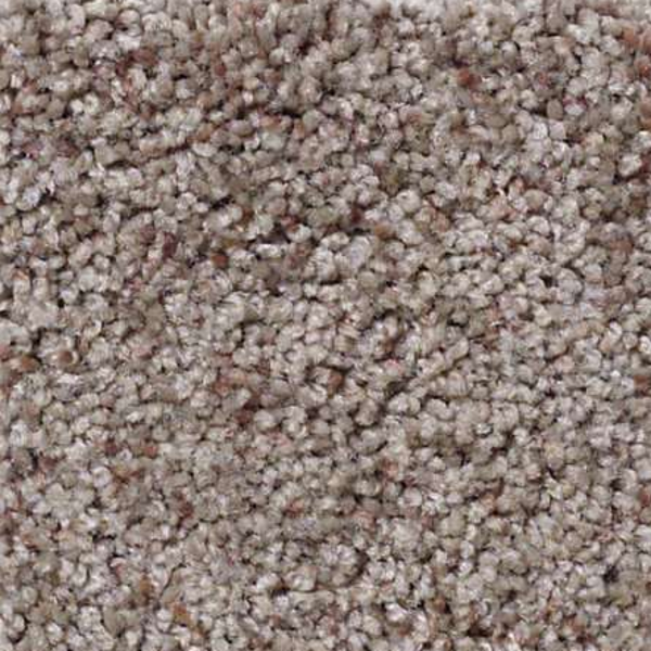 Shaw Floors What's Up Vintage SHAW