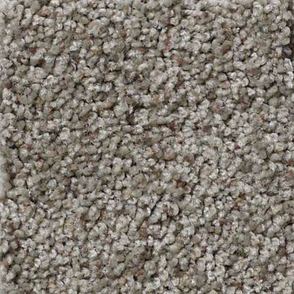 Shaw Floors That's Right Vintage SHAW