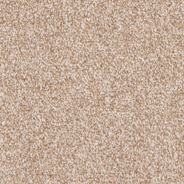 Mohawk Carpet Dynamic Quality II Walnut Sage Mohawk