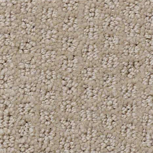 Shaw Floors Pacific Trails Hiking Trail SHAW