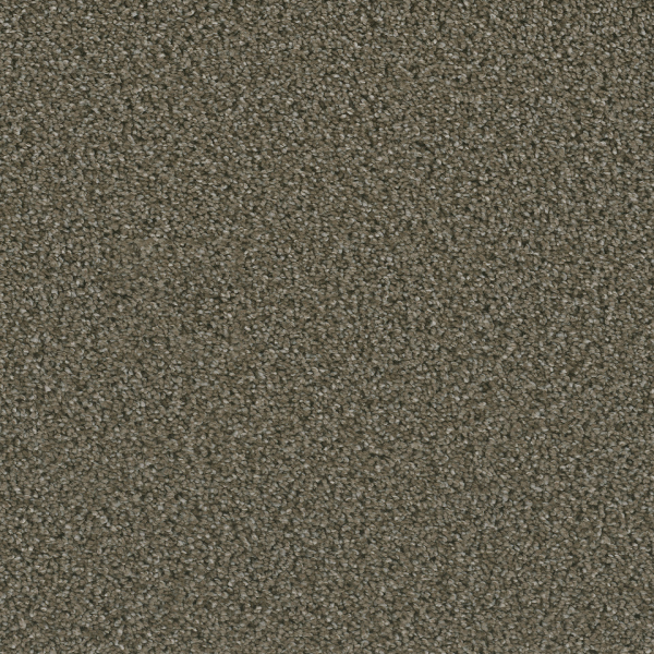 Dreamweaver Carpet Dazzling Peppercorn DREAMWEAVER