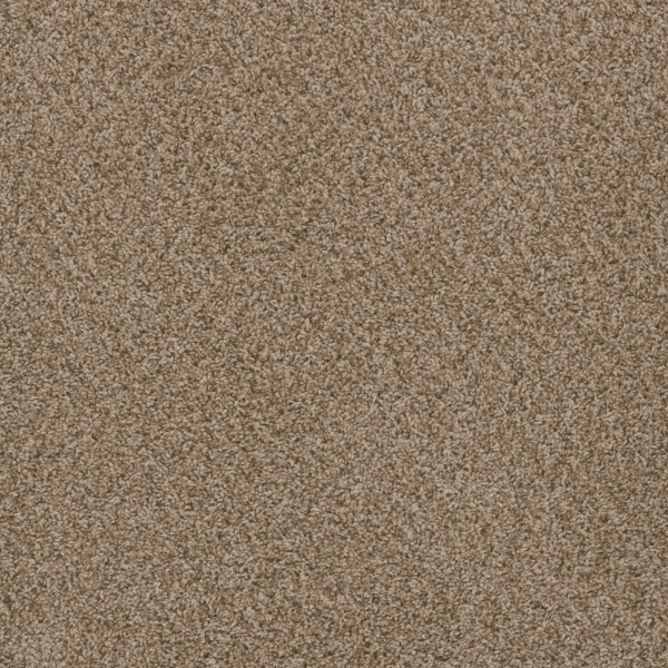 Dreamweaver Carpet Hot Pursuit Sandlot DREAMWEAVER