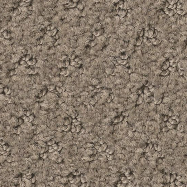 Tuftex Del Vista Shitake SHAW