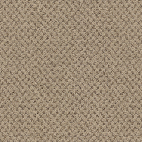 Masland Carpets La Parade Bistre Masland