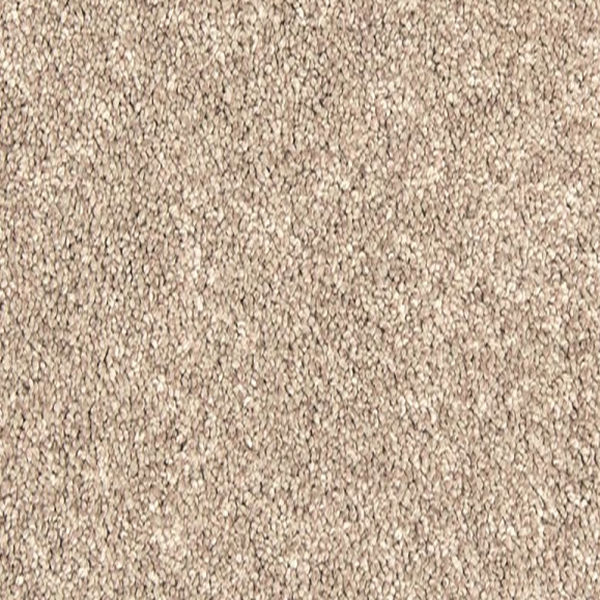 Mohawk Carpet Bold Creation Catalina Shore Mohawk