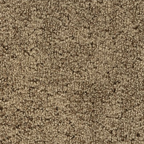 Godfrey Hirst Carpets Inspiring Selection Crushed Shells GODFREY HIRST