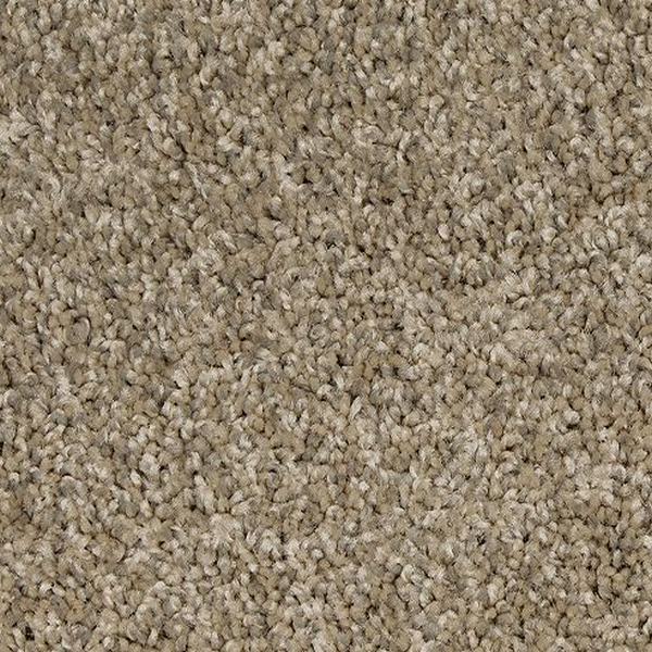 Mohawk Carpet Up The Ante Grovewood Mohawk