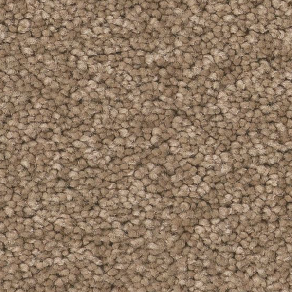 Tuftex Elegant Beauty Latte SHAW