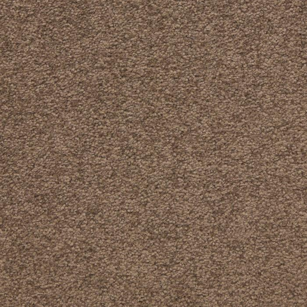 Masland Carpets Patriot Townhall Masland