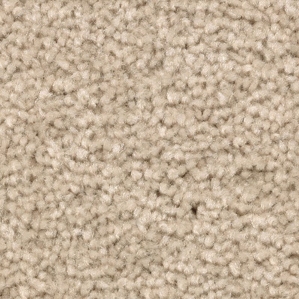 Mohawk Carpet Treasure Valley December Lace Mohawk