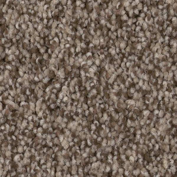 Tuftex Bossa Nova Palm Desert SHAW