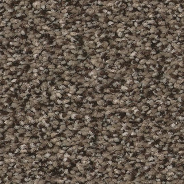 Tuftex Somerset Sable SHAW