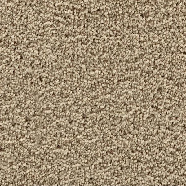 Mohawk Carpet Gentle Path Saloon Mohawk