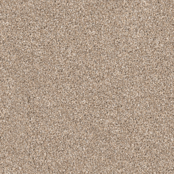 Dixie Home Husky Shar-Pei