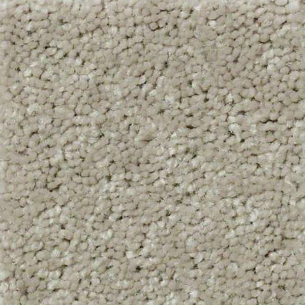 Shaw Floors QS407 75752 SHAW