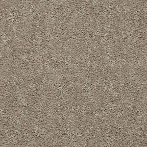 Shaw Floors Knockout II 12' Saddle Soap SHAW