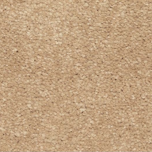 Mohawk Carpet Lakewood Drive I Michigan Mohawk