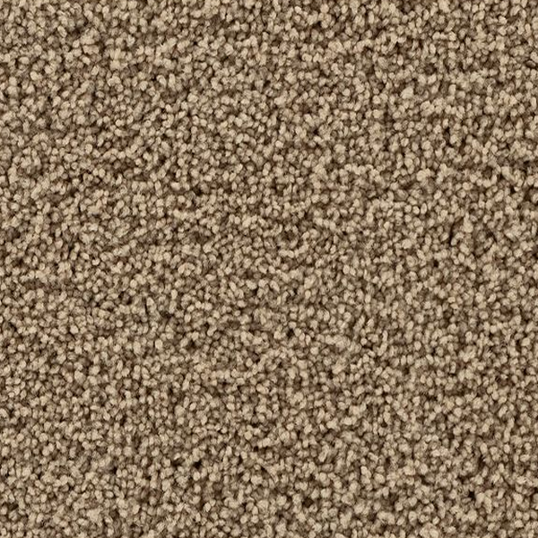 Mohawk Carpet Gentle Path Pancake Mohawk