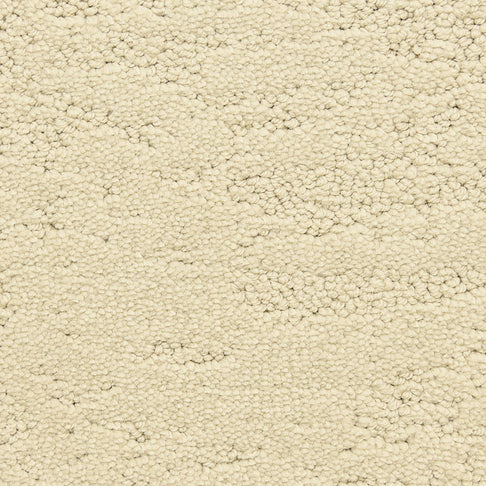 Fabrica Carpets Phenomena Event Fabrica