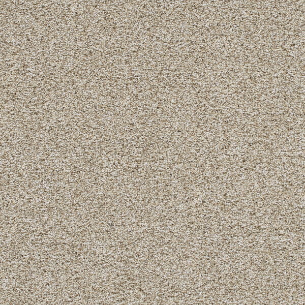 Dreamweaver Carpet Trendsetter II Seashells DREAMWEAVER