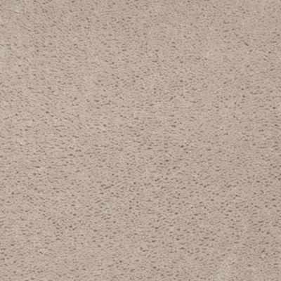 Aladdin Carpet Accelerator Plus Shadow Taupe MISSING