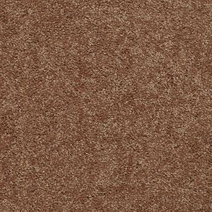 Shaw Floors Mission Statement II 12' Copper SHAW