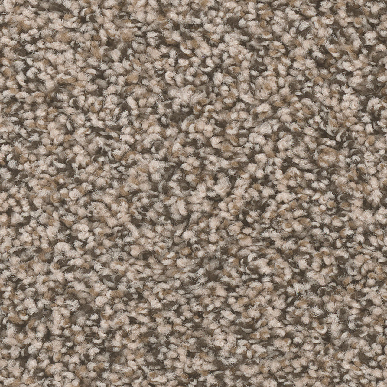 Dreamweaver Carpet West Brow Gemstone DREAMWEAVER