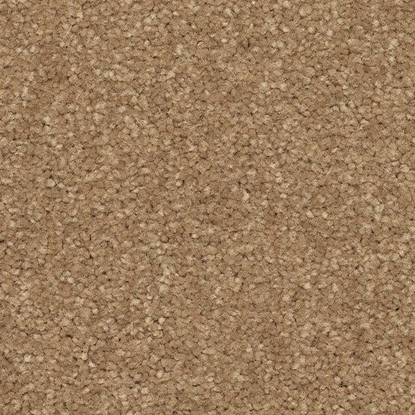 Mohawk Carpet Quality Feeling Halo Mohawk