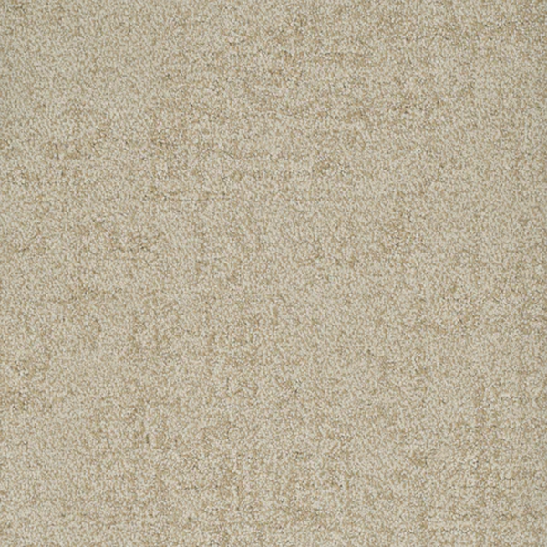 Dixie Home Authentic Worthy