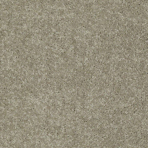 Shaw Floors Newbern Classic 12 Fossil SHAW