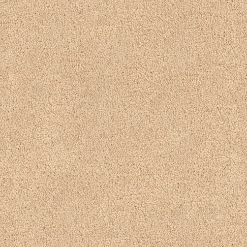 Fabrica Carpets Tribute Vogue Fabrica