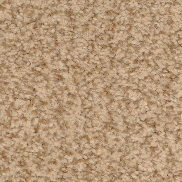 Dixie Home Semitones Clydesdale