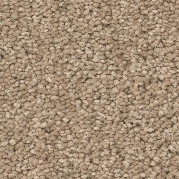 Tuftex Elegant Beauty Warm Sand SHAW